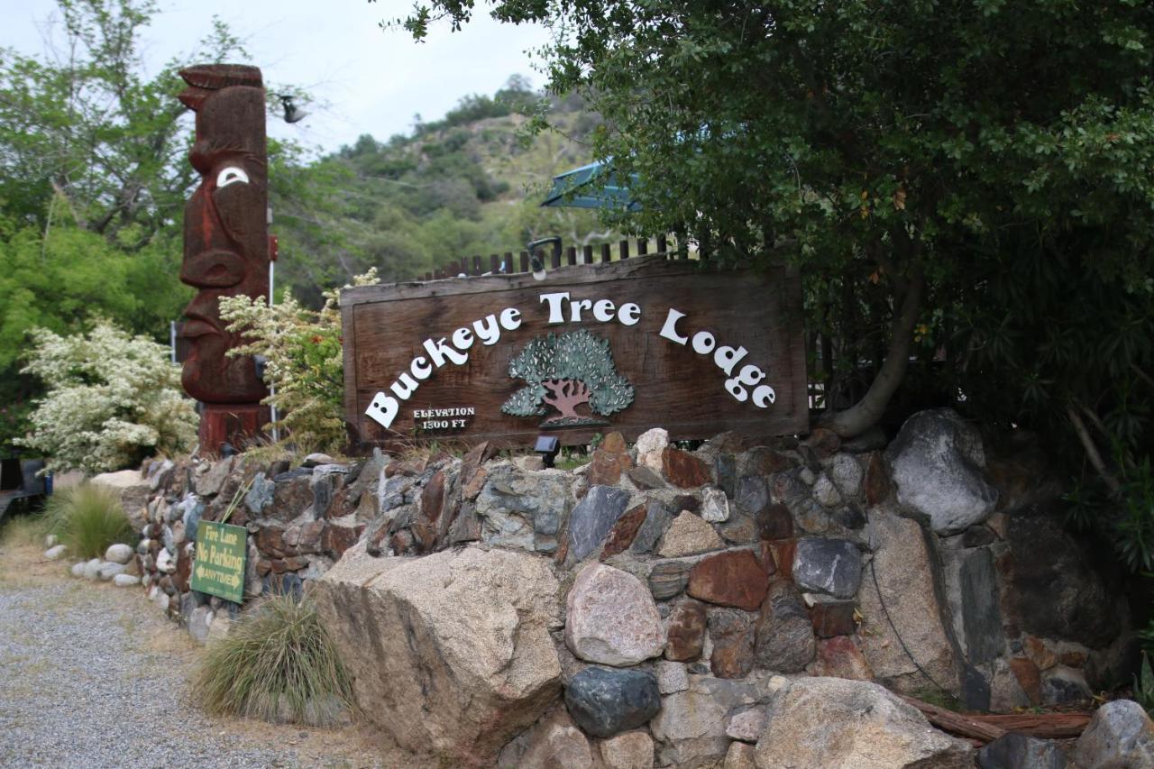 Buckeye Tree Lodge Three Rivers Exteriér fotografie