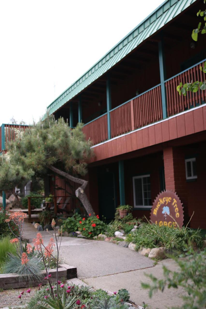Buckeye Tree Lodge Three Rivers Exteriér fotografie